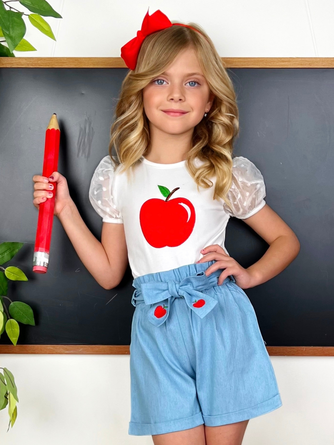 Best Apple Puff Sleeve Top & Embroidered Short Set